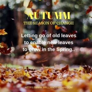 autumn-a-time-of-change
